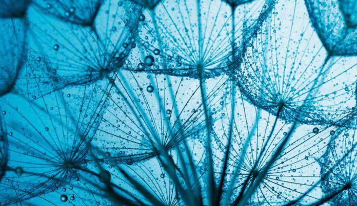 norobilim-temelli-mindfulness-modul-1